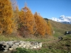 Automne la Cote d Aime
