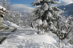 Paysages 