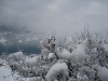 1ere-neige-La Cote dAime