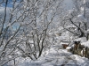 1ere-neige-La Plagne Tarentaise